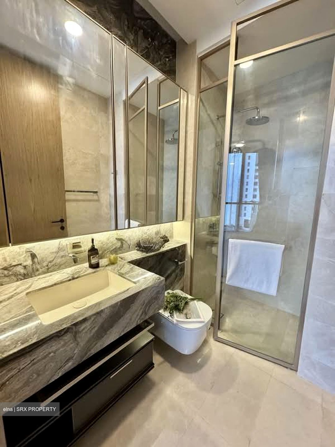 The Avenir (D9), Condominium #549761751